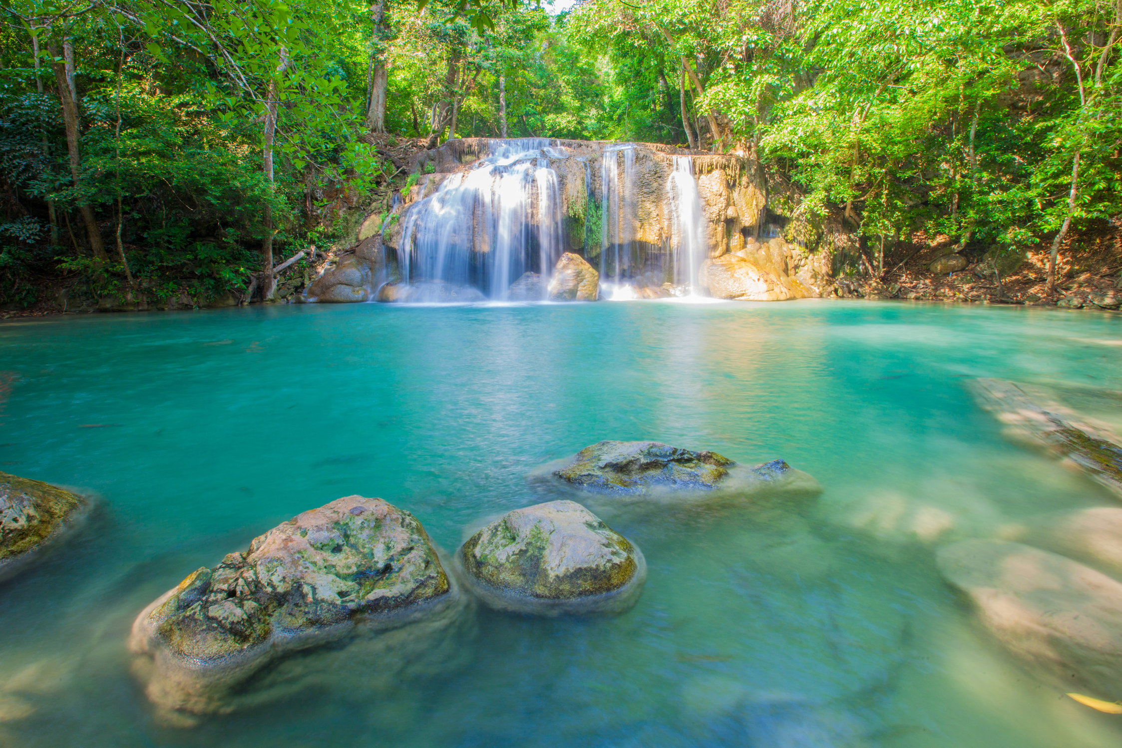 water fall Fairy Forest